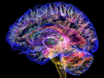 白虎曼头逼网大脑植入物有助于严重头部损伤恢复